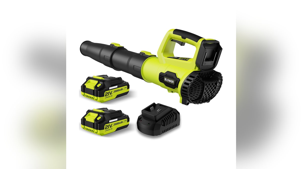 When the ground dries up, use this electric leaf blower to begin your yard cleanup.?