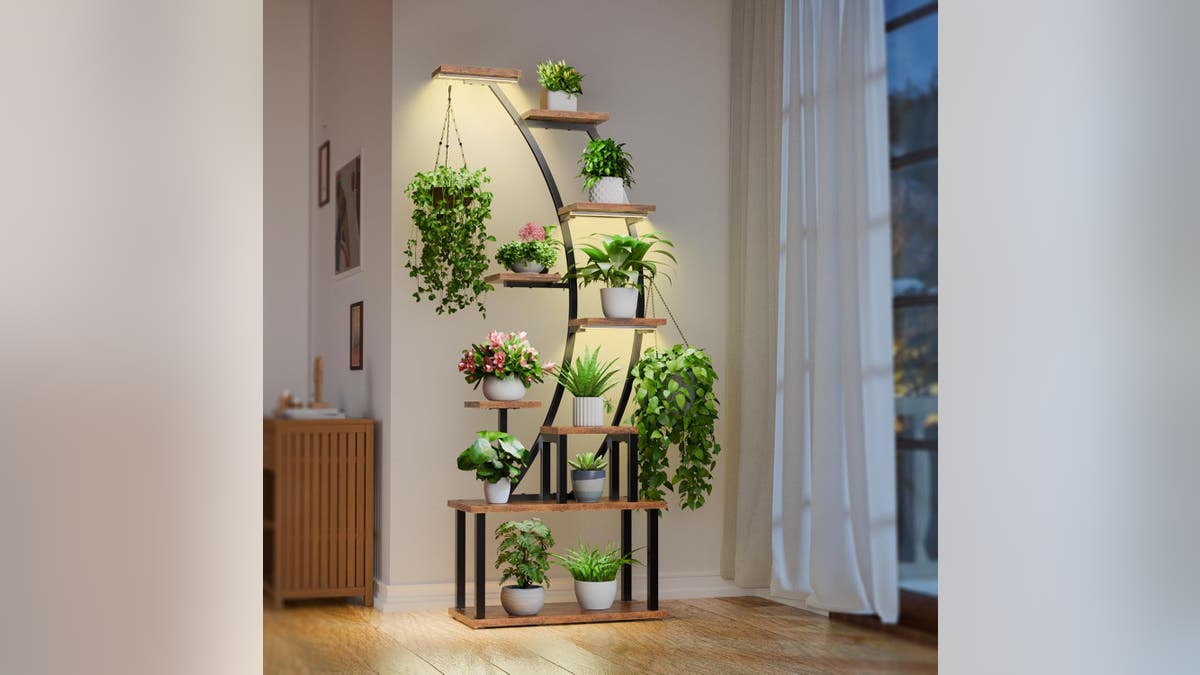 Plant stands provide all the room you need for your many plants. 