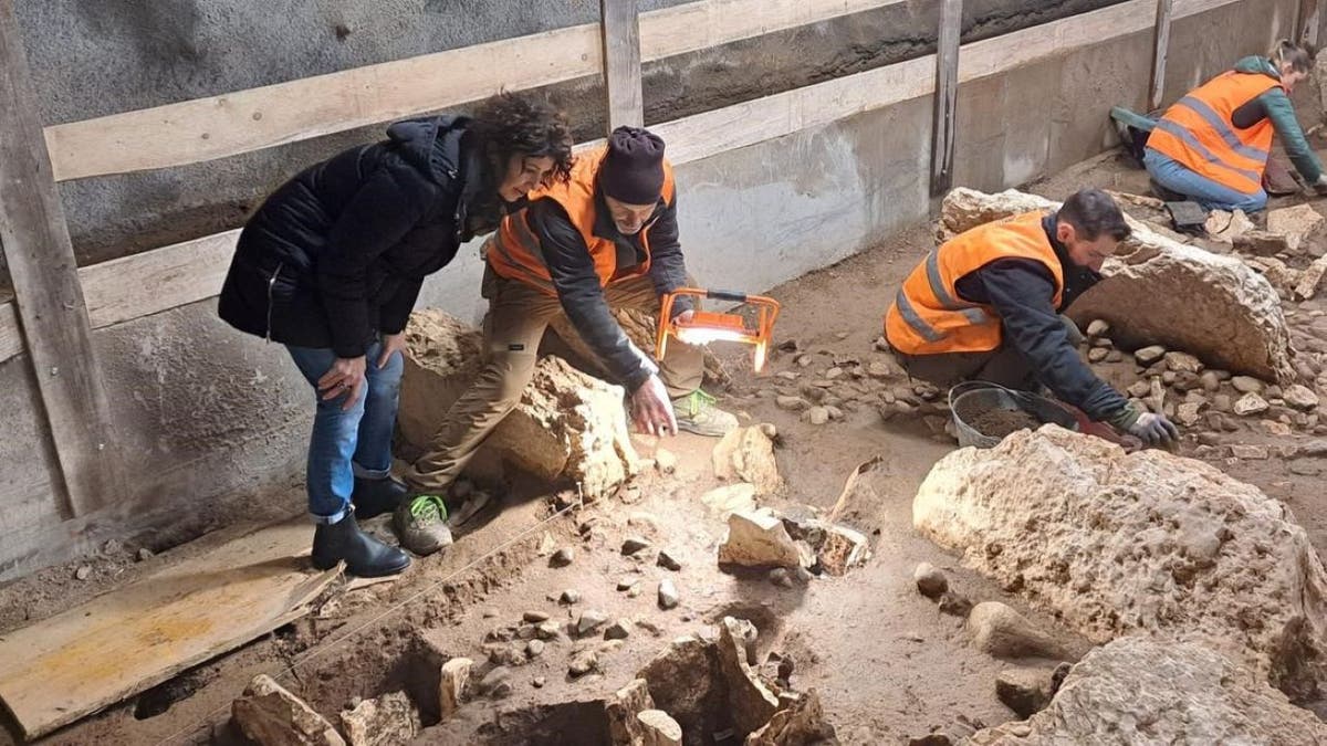 Excavators analyzing stones