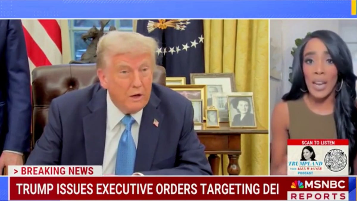 Ameshia Cross on MSNBC