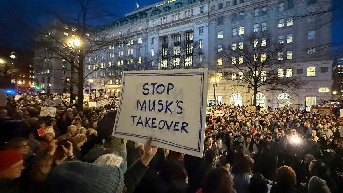 Anti-Musk protest outside the Treasury building in DC