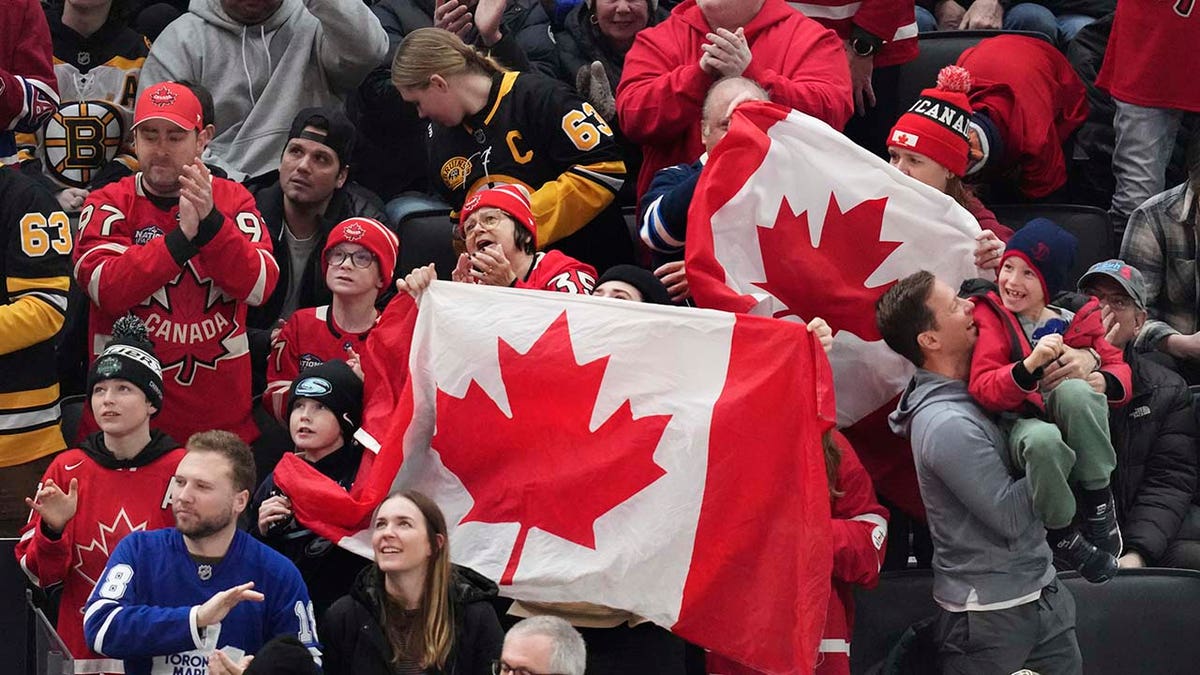 Canadian fans celebrate