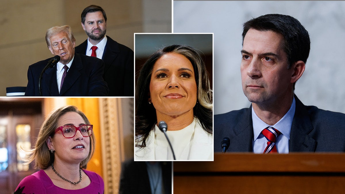 Donald Trump, JD Vance, Kysten Songa, Tulsi Gabbard, Tom Cotton