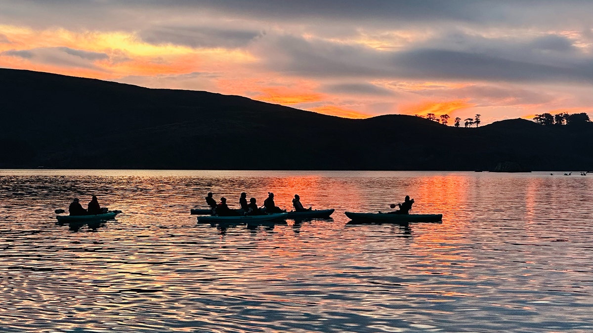 visit-california kayaking Marshall, California  