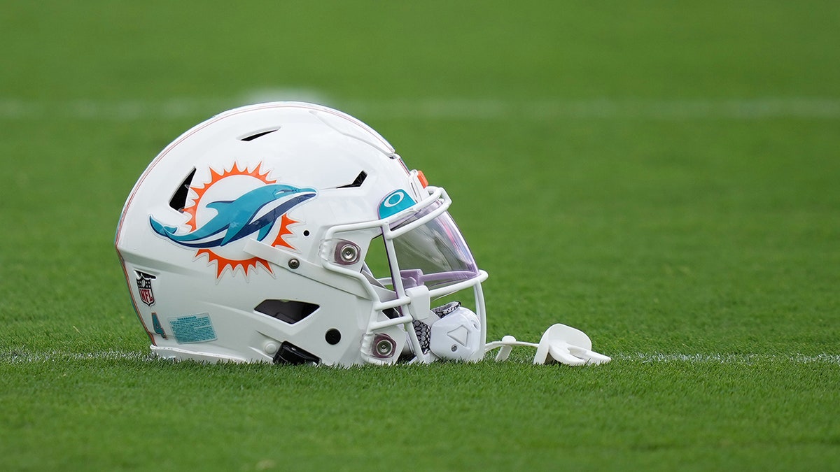 Dolphins helmet