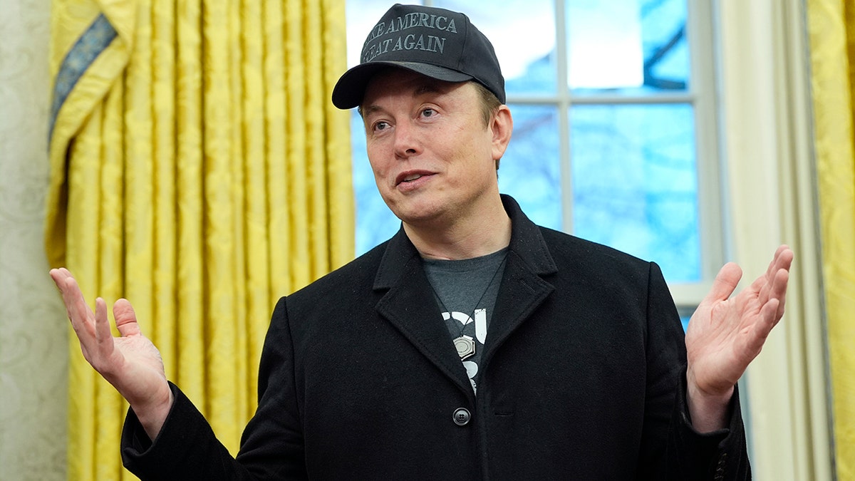 Elon Musk appears in the White House