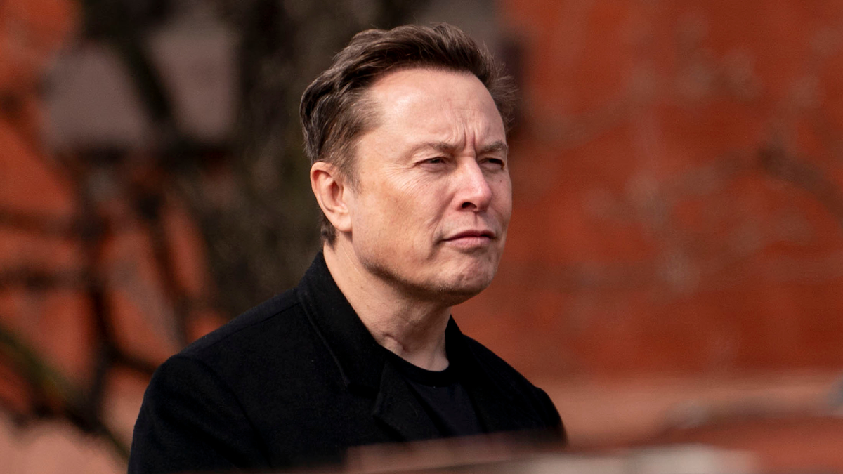 ELON ALMIZCLE 