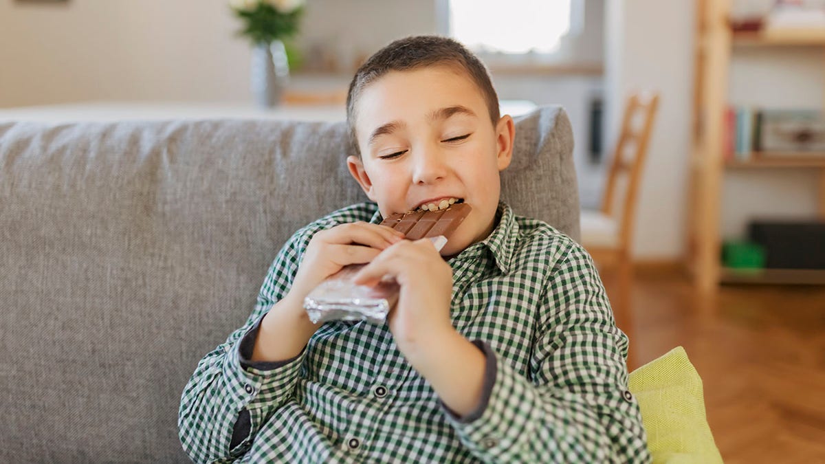 Happy little kid bites a chocolate bar