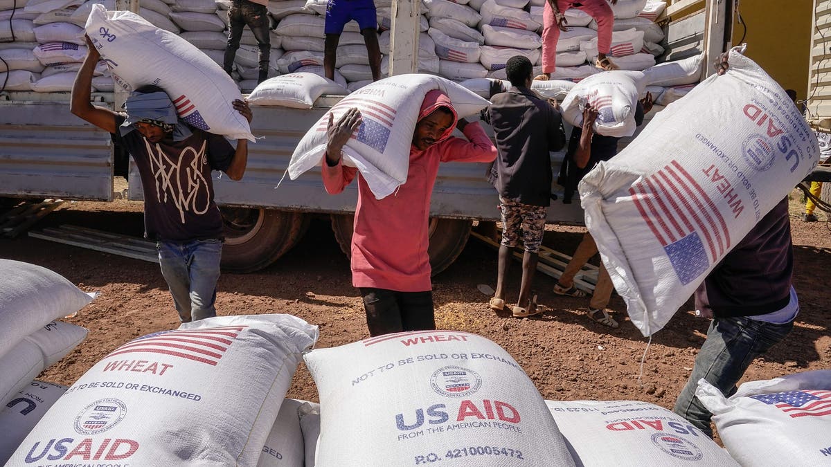 O projeto da USAID da África