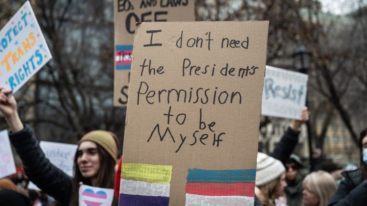 pro-trans rights demonstration with signs