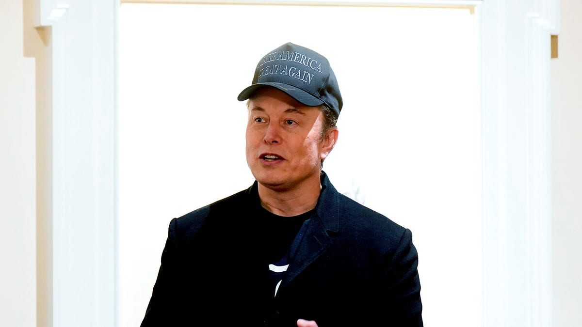 Musk stands during Cabinet meeting