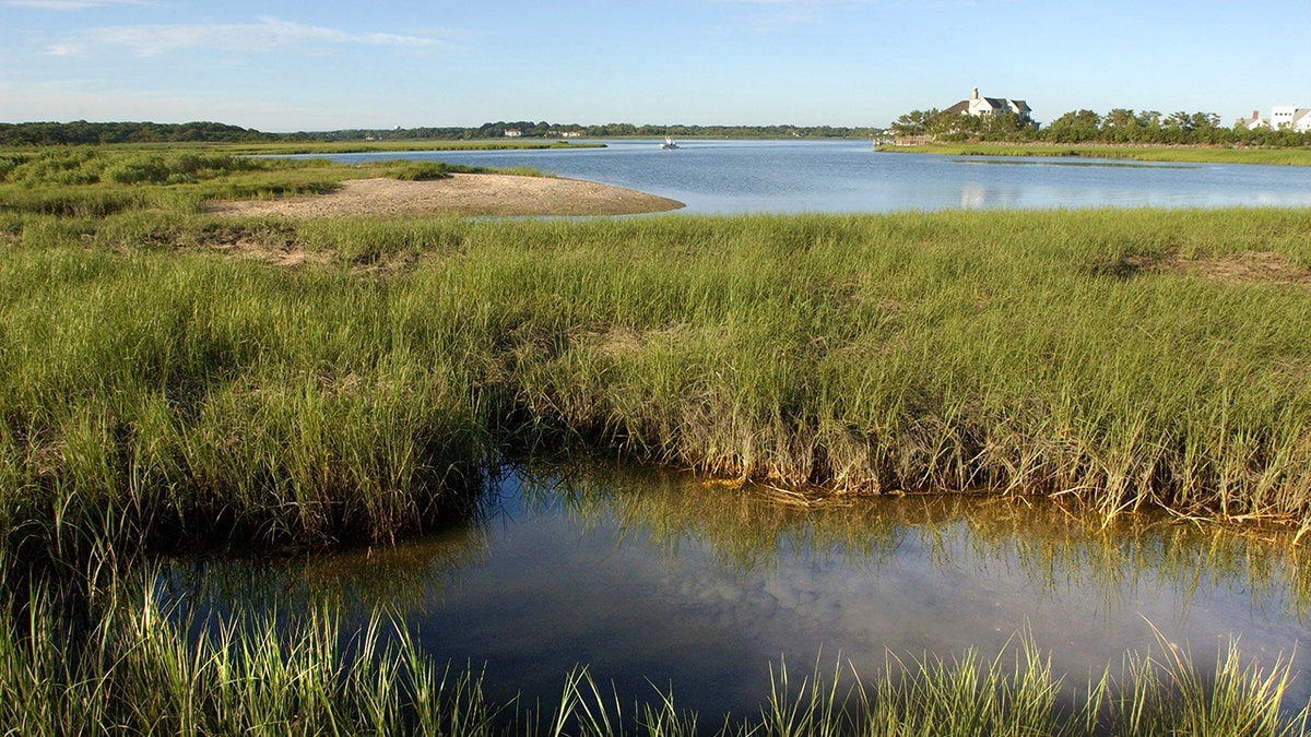 Ponquogue Bridge connects Hampton Bays to popular Ponquogue Bridge ...