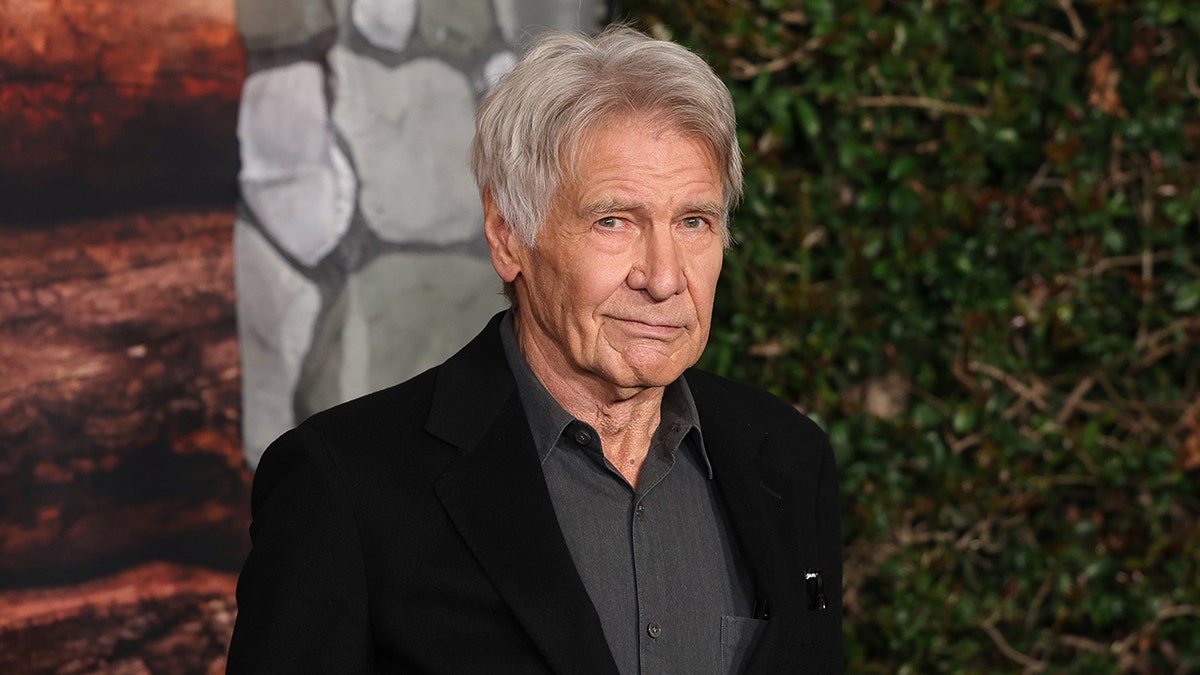 Close up of a slightly smiling Harrison Ford