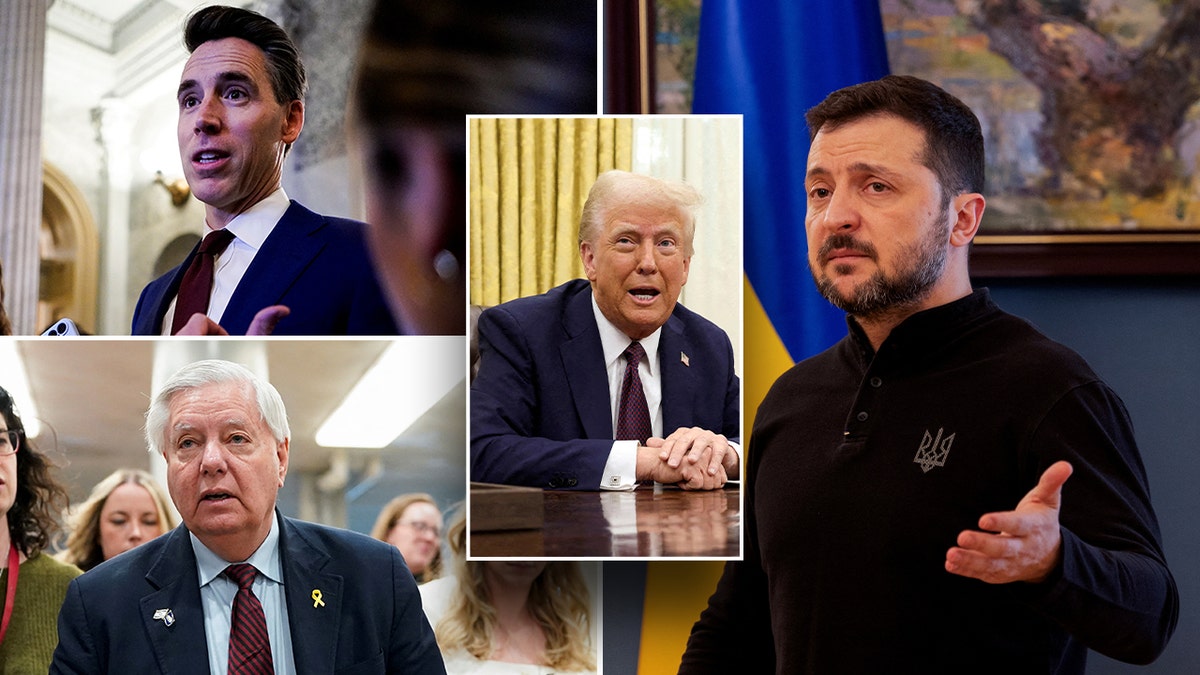 Senators react to Trump by calling Zelenskyy a 