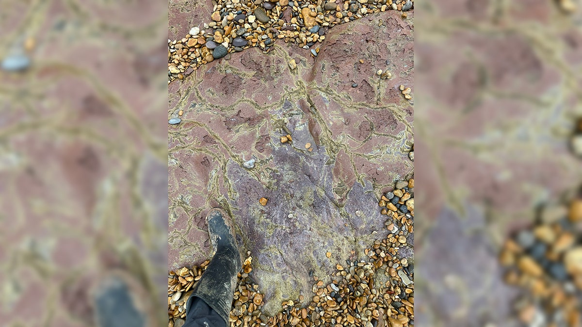 Huge dinosaur footprint on an England beach amidst rocks and sand.