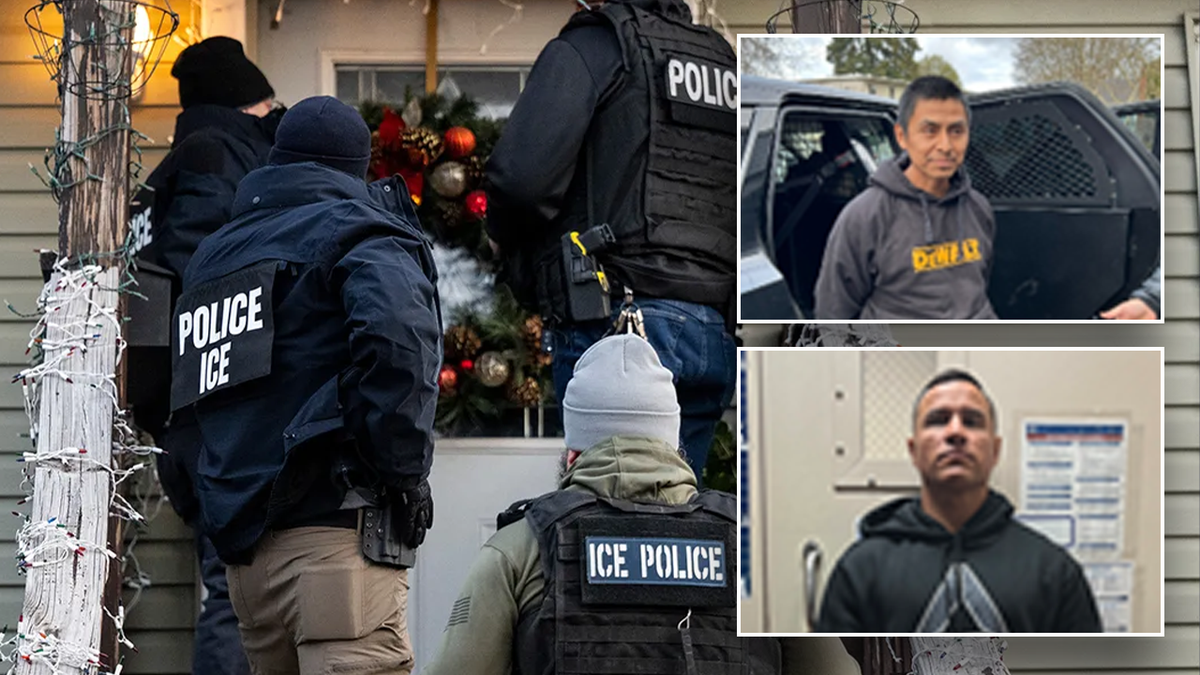 February ice raid