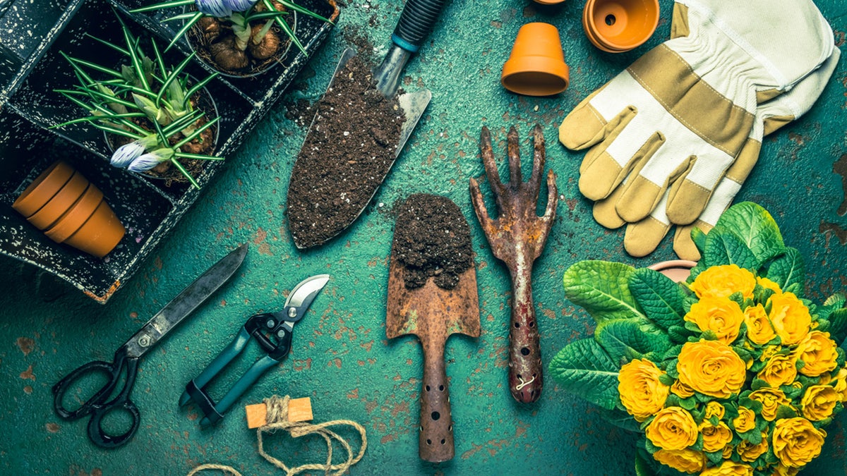 You can garden better with these must-have tools. 