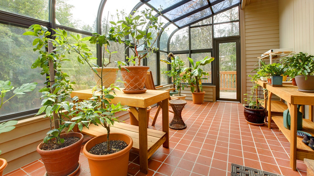 Transform your sunroom into a plant paradise.?