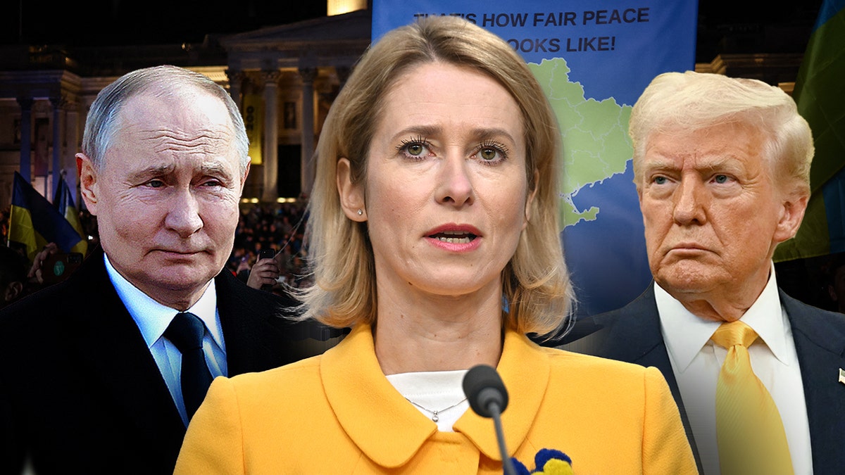 The Cape Diplomat EU KEJA KAA Named Trump against Putin