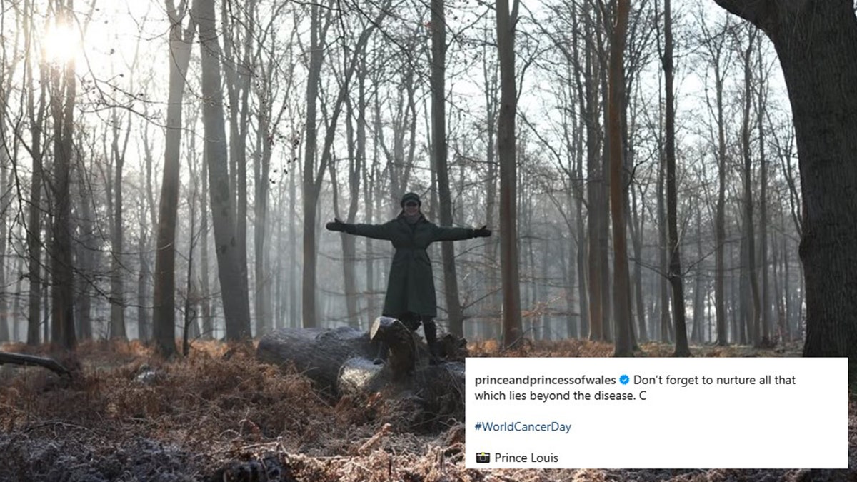 Kate Middleton lasting  successful  the woods with a caption indicating the photograph  was taken by her lad   Prince Louis