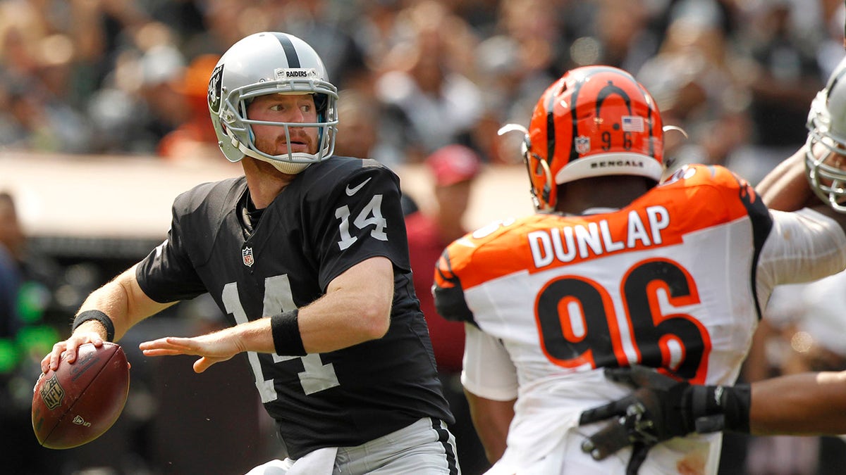 Matt McGloin vs Bengals