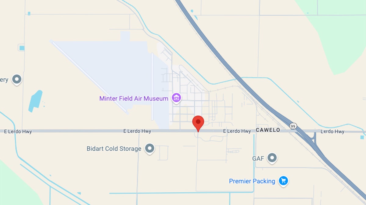 Minter Field Airport map