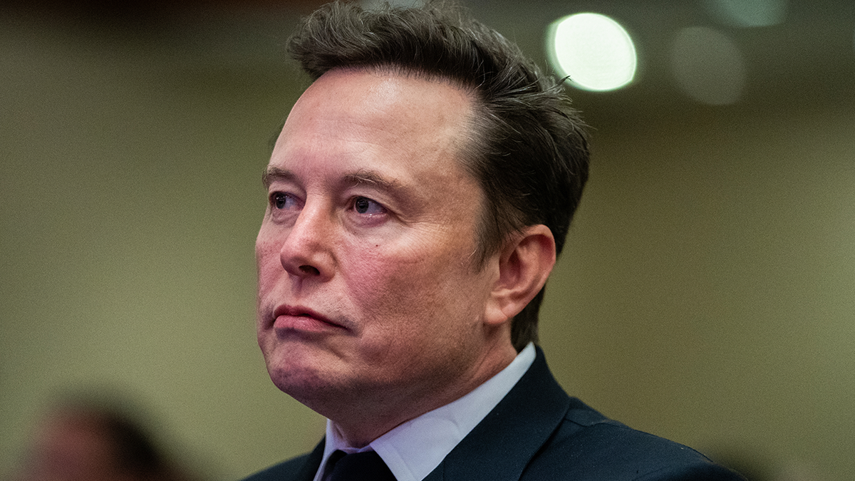 Department of Government Efficiency president  Elon Musk