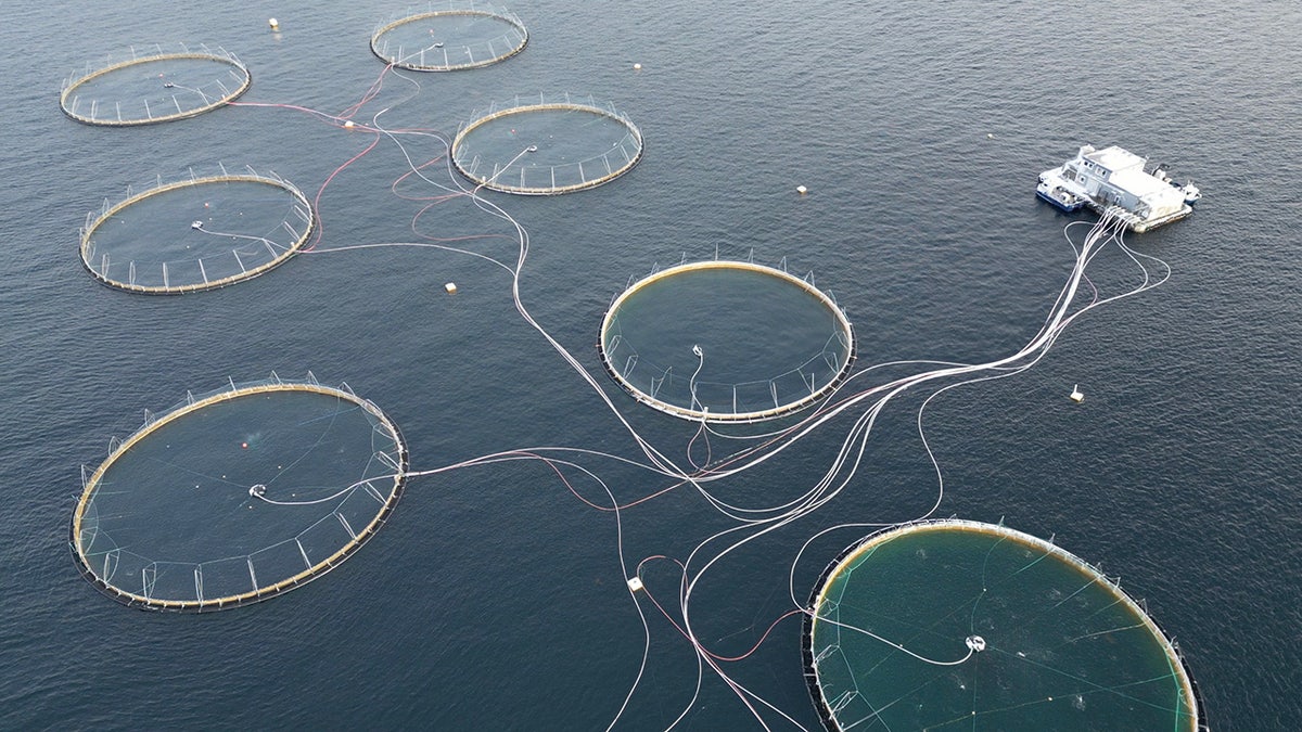 Aerial view of a salmon fishing farm in Norway