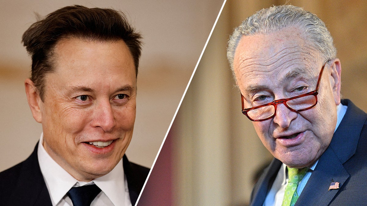 Elon Musk, Chuck Schumer