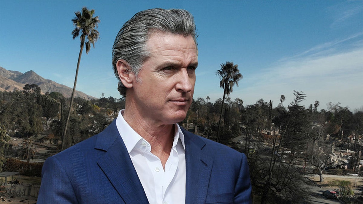 Gavin Newsom wildfires