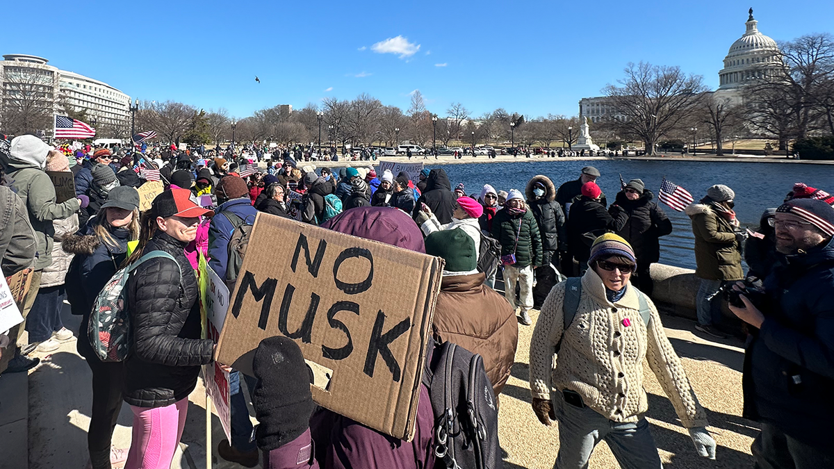 Um manifestante é um "Não há almíscar" No sinal "Não há rei no dia do presidente" Washington, protesto em DC, 17 de fevereiro de 2025.