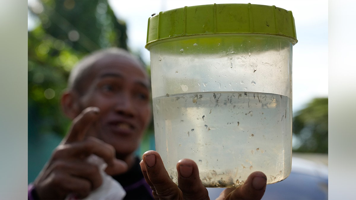 After a dengue outbreak, a village in the Philippines has offered a bounty of one Philippines peso for every five mosquitoes residents turn in.