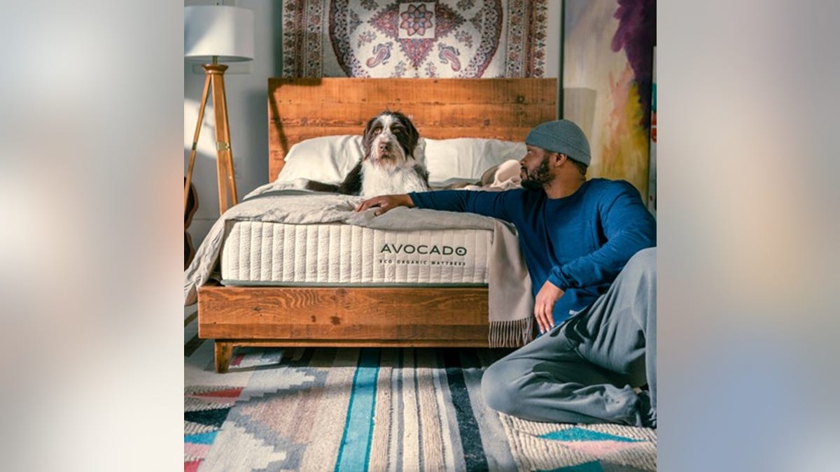 An ultra-affordable organic mattress. 