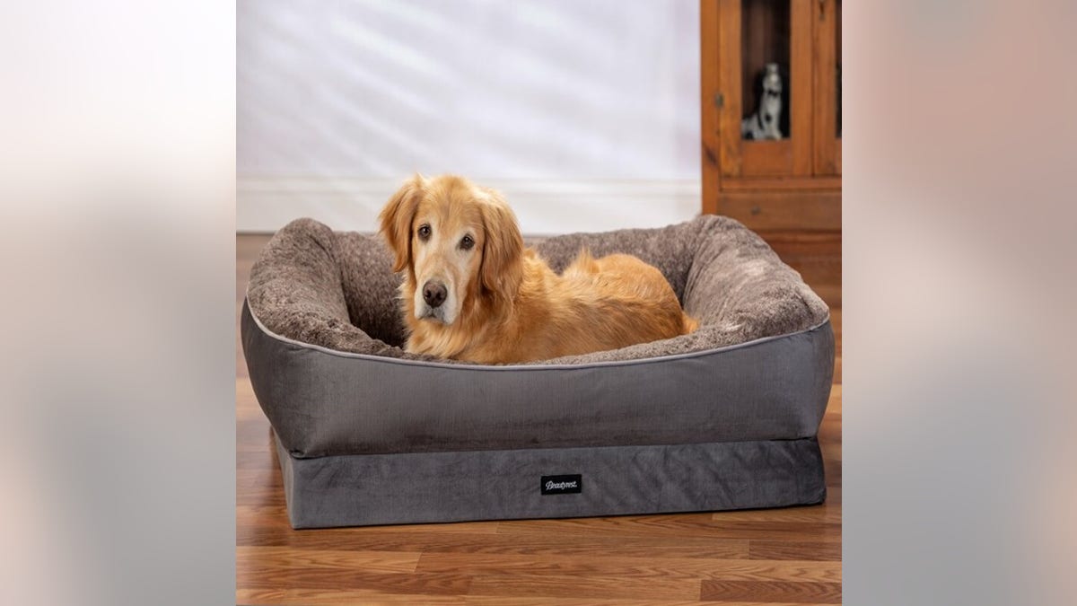 Help your dog relax with a memory foam bed.?