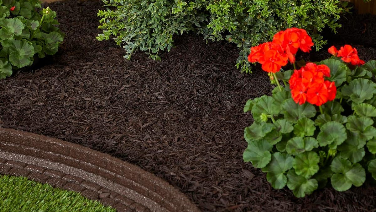 For an instant update of your garden bed, replace the mulch.