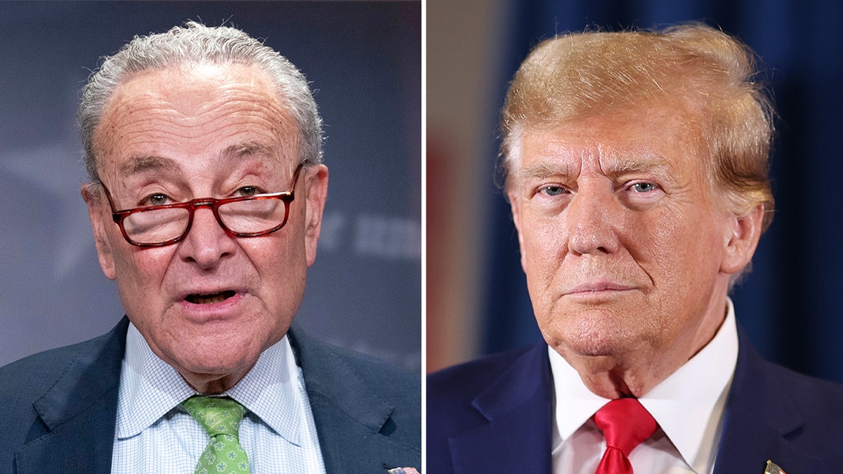 Shutdown averted after Schumer caves and backs Trump spending bill  at george magazine