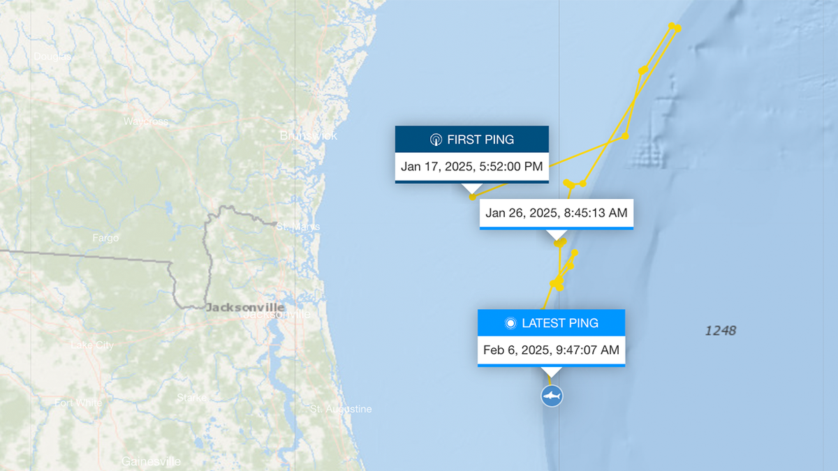 map of shark ping