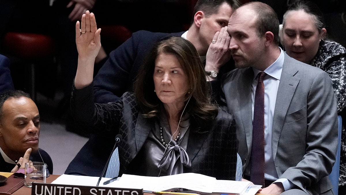 UN Security Council vote on resolution about war in Ukraine