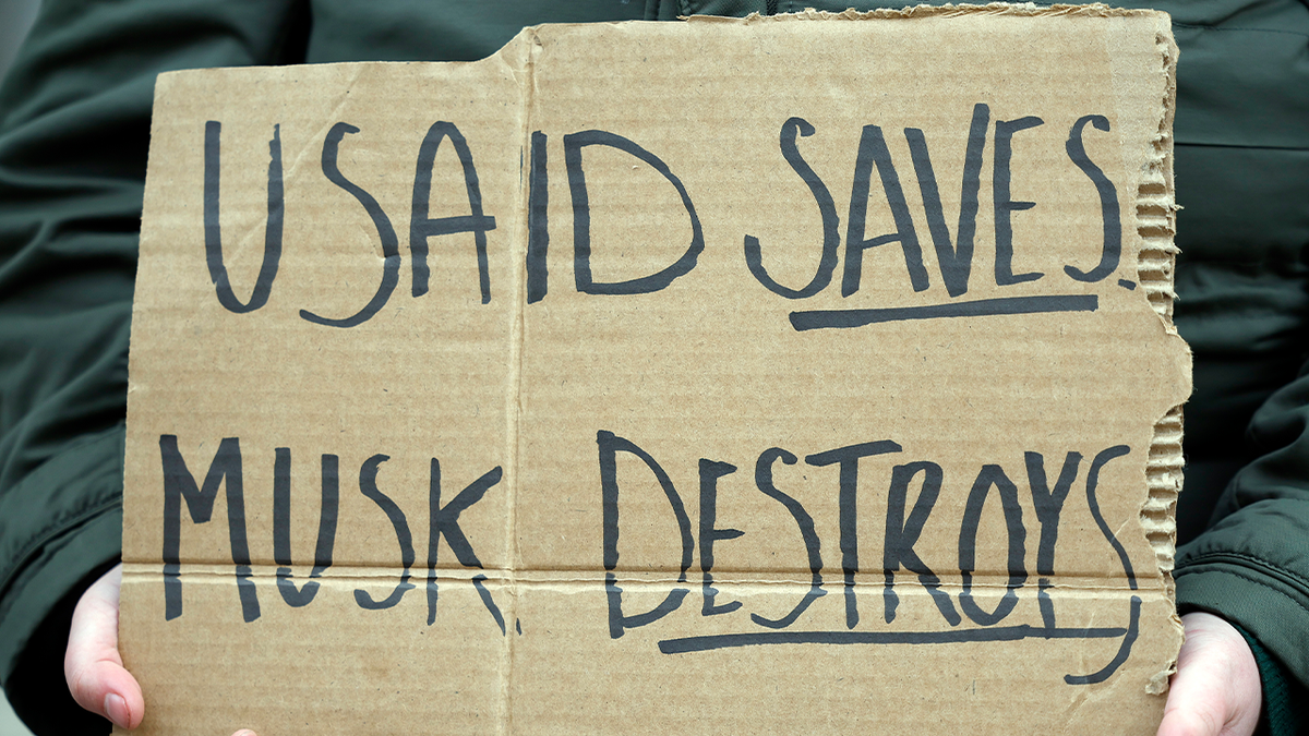 Democrats have seethed over the work of Elon Musk and the Department of Government Efficiency, holding protests outside government offices in Washington, D.C., and across the country. 