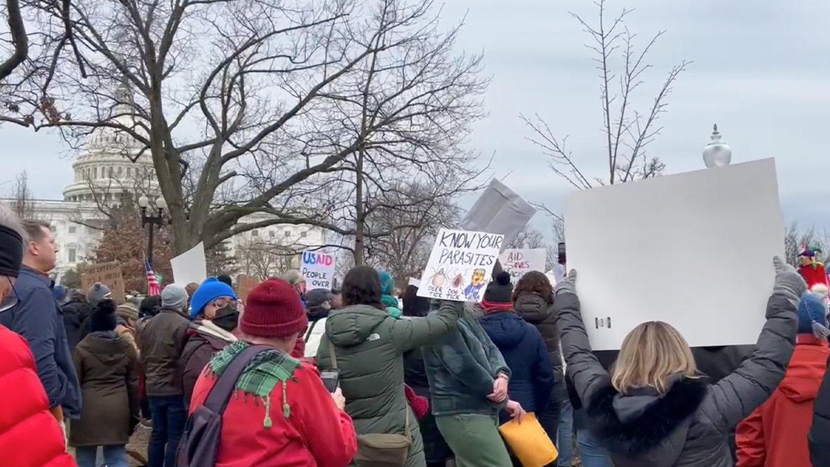 protesters