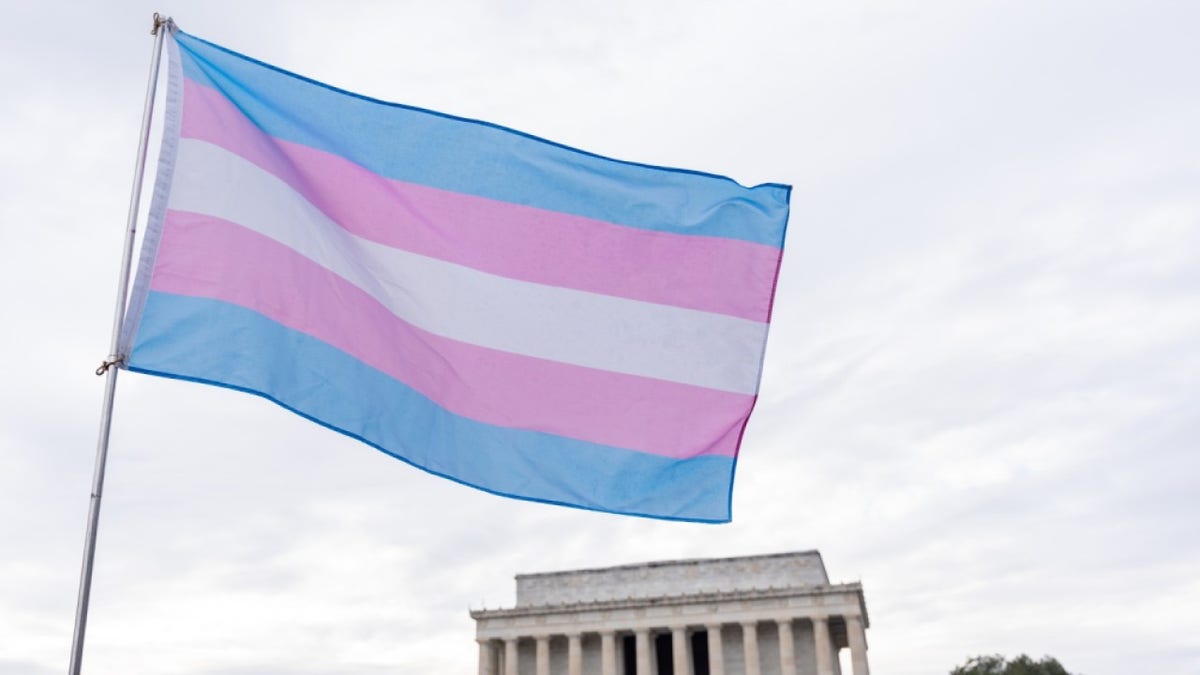 A person agitates a flag of transgender pride during the march of the town and is handled to the Memorial Lincoln in Washington, DC, United States, on January 18, 2025.