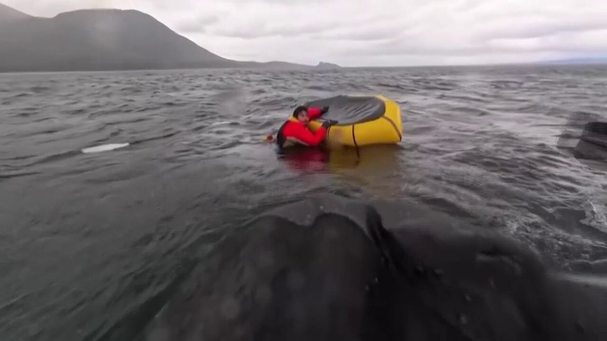 Kayaker resurfaces