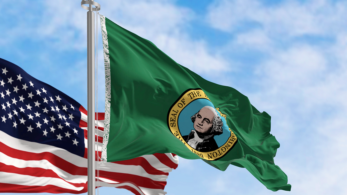 Washington state flag