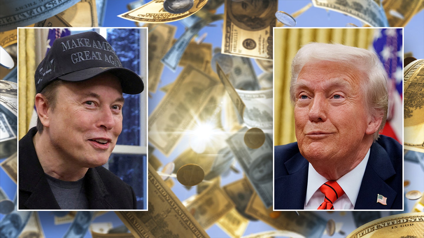 trump musk money