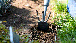 A garden hoe being used