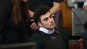 Suspected CEO assassin in court as ex-federal prosecutor notes different feds approach - Fox News