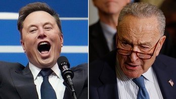 Elon Musk dunks on Sen Chuck Schumer, declaring 'Hysterical reactions' demonstrate DOGE's importance