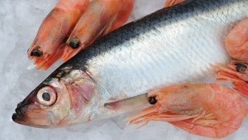 Seafood samples contain high levels of microplastics in US state, say researchers