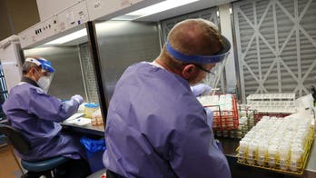 Bird flu leads to severe human illness and state of emergency; experts discuss risk