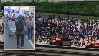 Social justice law professor defends anti-Israel protesters who blocked traffic to Chicago airport